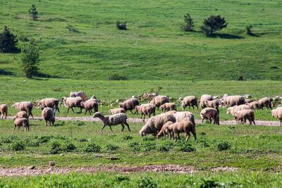 Прикрепленное изображение: IMG_0258.jpg